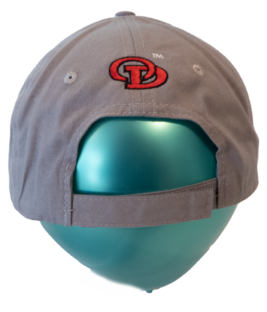 steadfast gray hat back